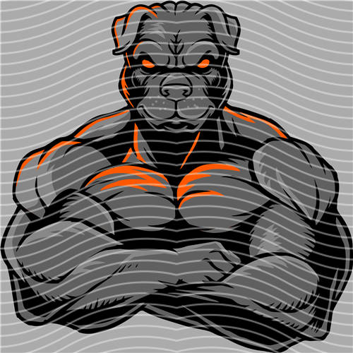 Street design-JT 4654